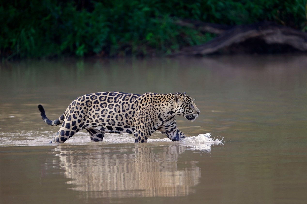 WIAD_RP_Canon EOS-1D X MK III by Thorsten Milse_200706_Final